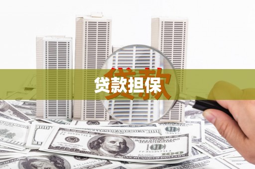 茶山贷款担保