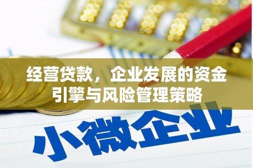 茶山经营贷款，企业发展的资金引擎与风险管理策略