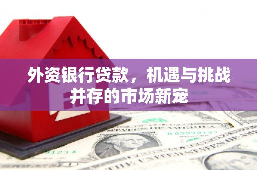 茶山外资银行贷款，机遇与挑战并存的市场新宠