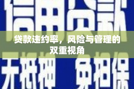 茶山贷款违约率，风险与管理的双重视角