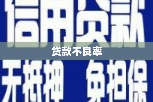 茶山贷款不良率