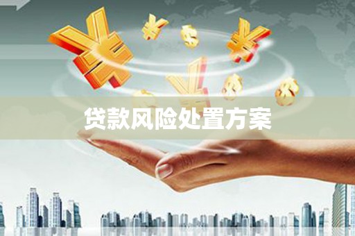 茶山贷款风险处置方案