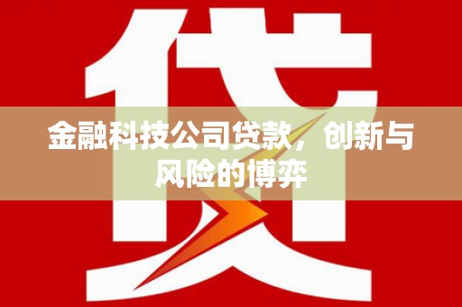 茶山金融科技公司贷款，创新与风险的博弈