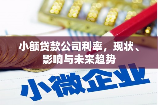 茶山小额贷款公司利率，现状、影响与未来趋势