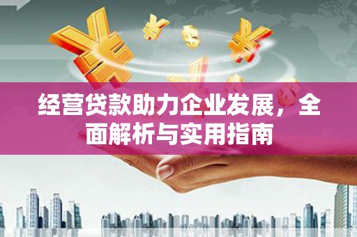 茶山经营贷款助力企业发展，全面解析与实用指南