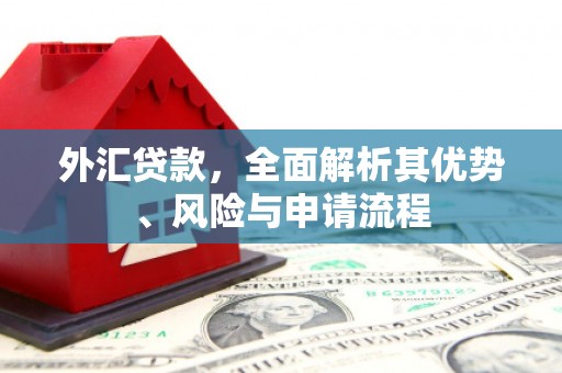 茶山外汇贷款，全面解析其优势、风险与申请流程