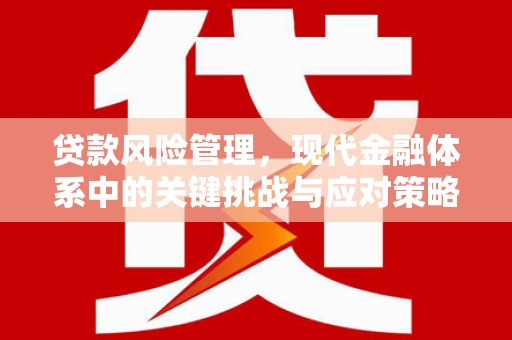 茶山贷款风险管理，现代金融体系中的关键挑战与应对策略