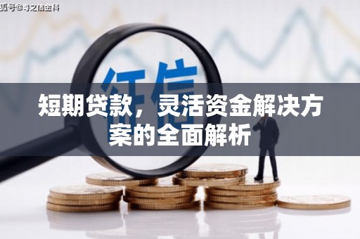 茶山短期贷款，灵活资金解决方案的全面解析