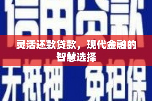 茶山灵活还款贷款，现代金融的智慧选择