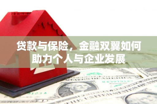 茶山贷款与保险，金融双翼如何助力个人与企业发展