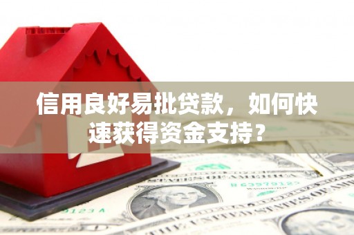 茶山信用良好易批贷款，如何快速获得资金支持？