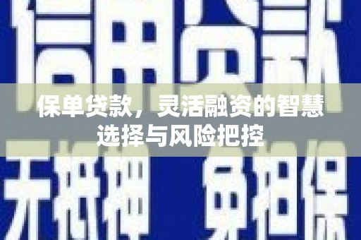 茶山保单贷款，灵活融资的智慧选择与风险把控