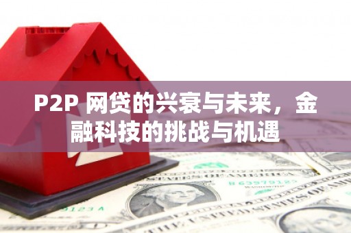 茶山P2P 网贷的兴衰与未来，金融科技的挑战与机遇