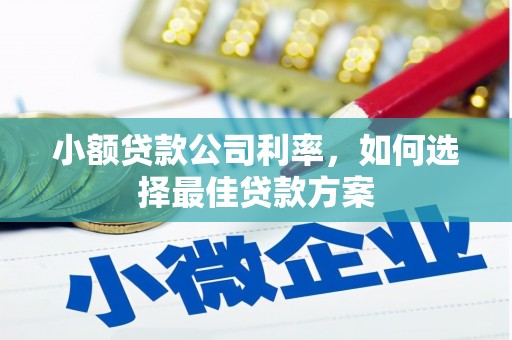 茶山小额贷款公司利率，如何选择最佳贷款方案