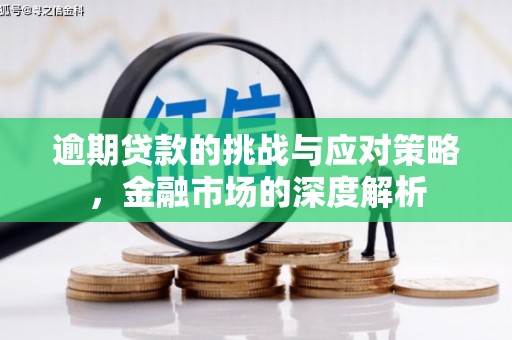 茶山逾期贷款的挑战与应对策略，金融市场的深度解析