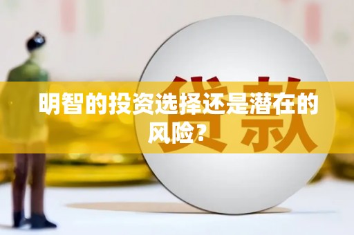 茶山明智的投资选择还是潜在的风险？
