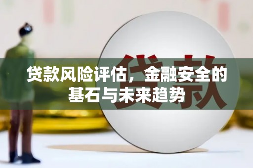 茶山贷款风险评估，金融安全的基石与未来趋势