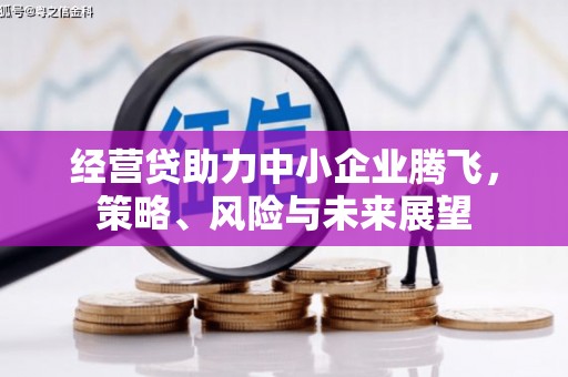 茶山经营贷助力中小企业腾飞，策略、风险与未来展望