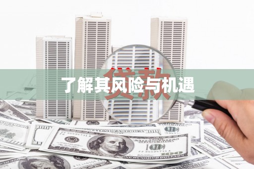 茶山了解其风险与机遇