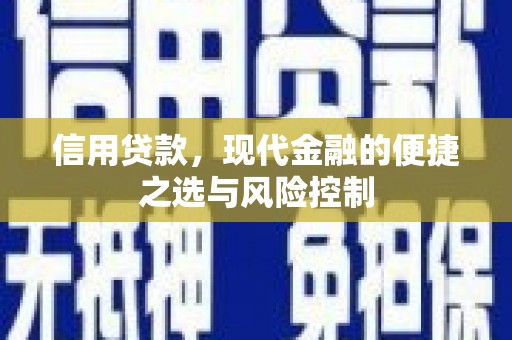 茶山信用贷款，现代金融的便捷之选与风险控制