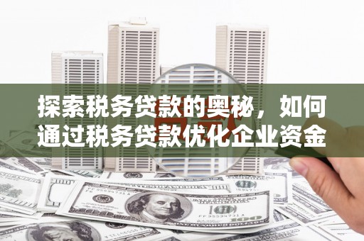 茶山探索税务贷款的奥秘，如何通过税务贷款优化企业资金流