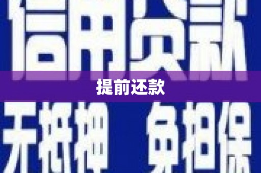 茶山提前还款