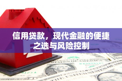 茶山信用贷款，现代金融的便捷之选与风险控制