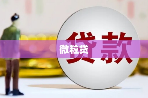 茶山微粒贷