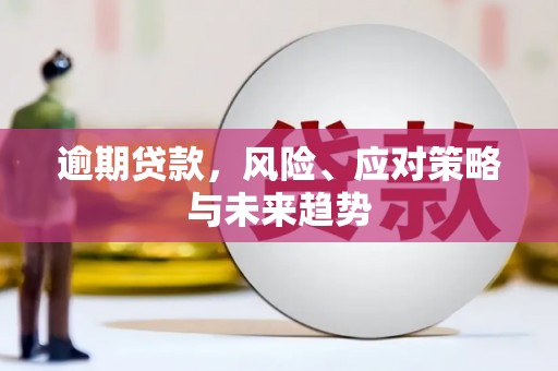 茶山逾期贷款，风险、应对策略与未来趋势