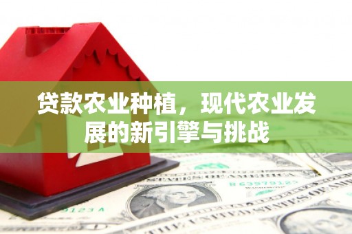 茶山贷款农业种植，现代农业发展的新引擎与挑战