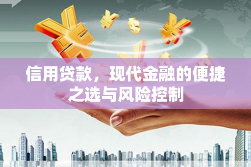 茶山信用贷款，现代金融的便捷之选与风险控制