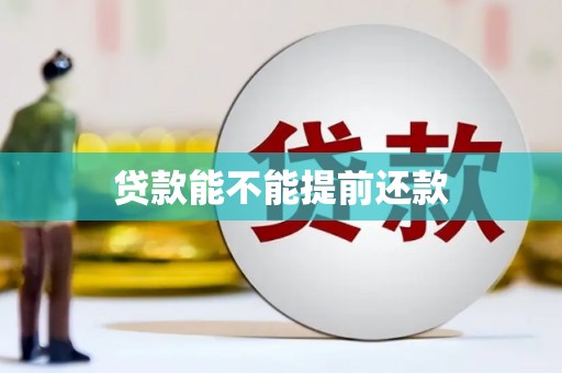 茶山贷款能不能提前还款