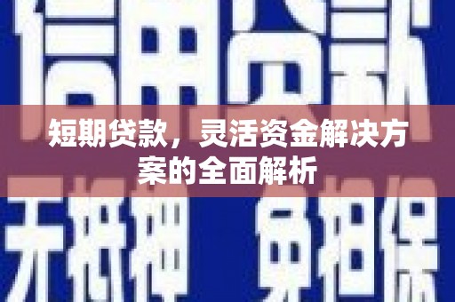 茶山短期贷款，灵活资金解决方案的全面解析