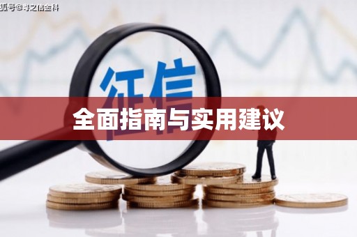 茶山全面指南与实用建议