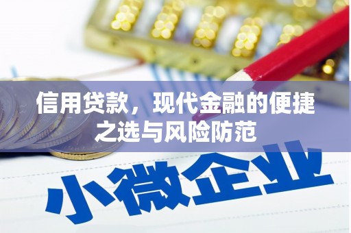 茶山信用贷款，现代金融的便捷之选与风险防范
