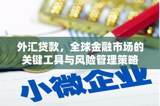 茶山外汇贷款，全球金融市场的关键工具与风险管理策略