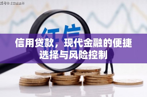 茶山信用贷款，现代金融的便捷选择与风险控制