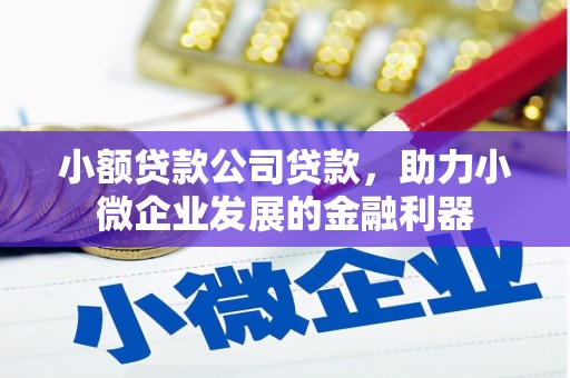 茶山小额贷款公司贷款，助力小微企业发展的金融利器