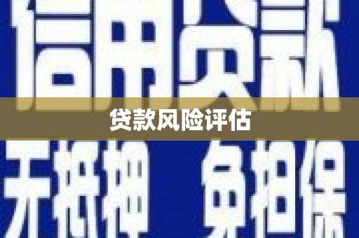 茶山贷款风险评估