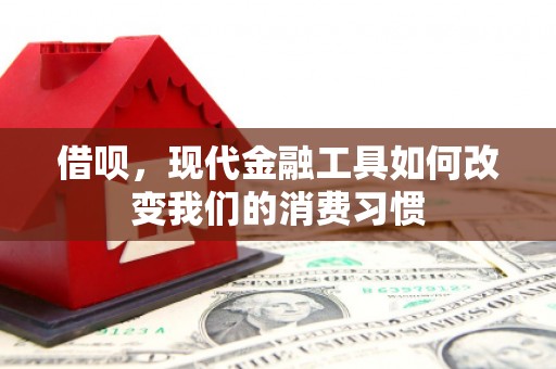 茶山借呗，现代金融工具如何改变我们的消费习惯