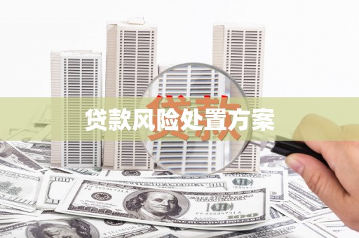 茶山贷款风险处置方案