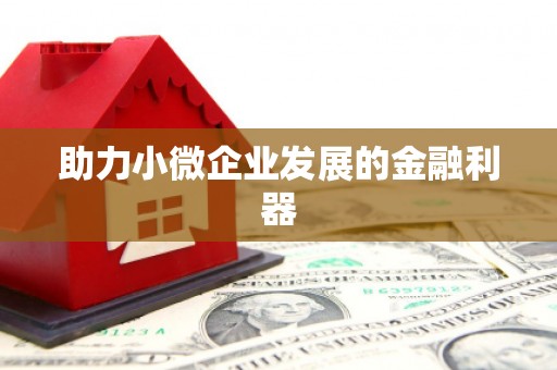 茶山助力小微企业发展的金融利器