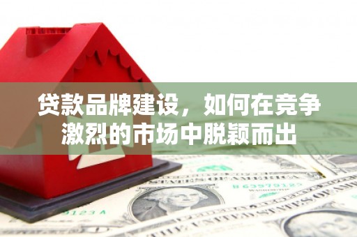 茶山贷款品牌建设，如何在竞争激烈的市场中脱颖而出