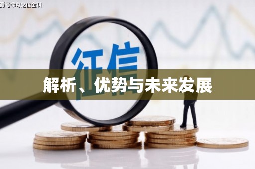 茶山解析、优势与未来发展