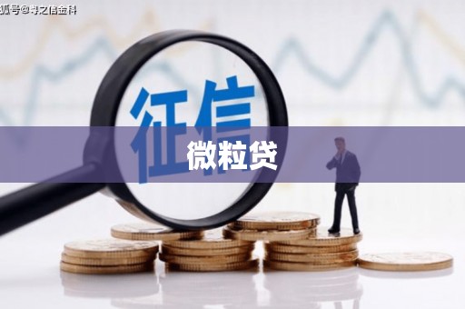 茶山微粒贷
