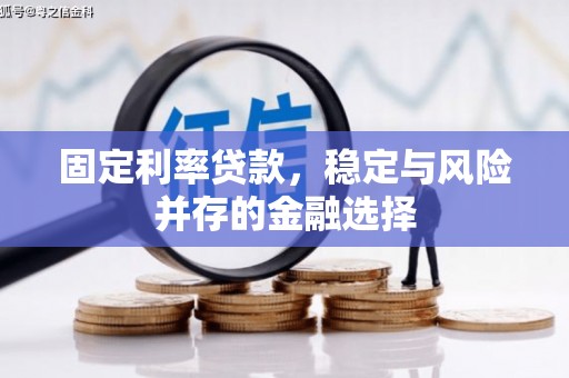 茶山固定利率贷款，稳定与风险并存的金融选择