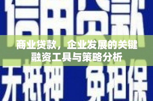 茶山商业贷款，企业发展的关键融资工具与策略分析