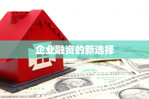 茶山企业融资的新选择