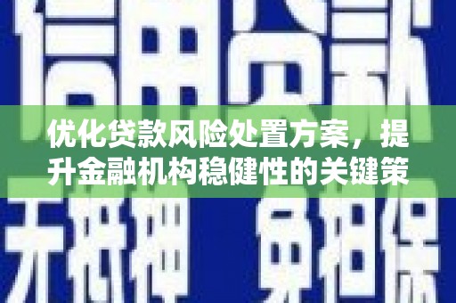 茶山优化贷款风险处置方案，提升金融机构稳健性的关键策略