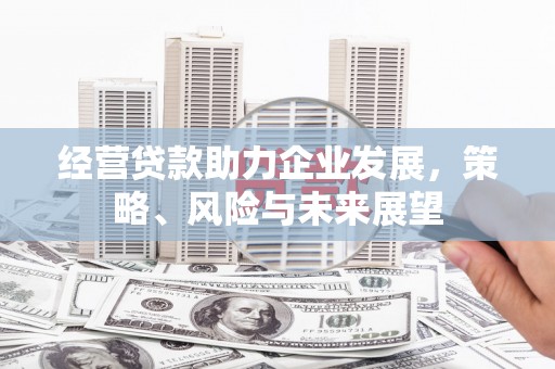 茶山经营贷款助力企业发展，策略、风险与未来展望